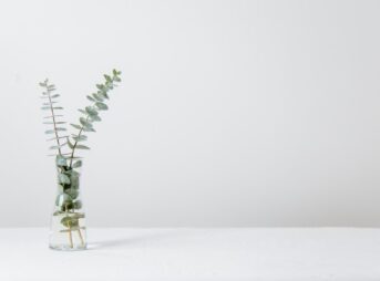 green fern plant inside clear glass vase