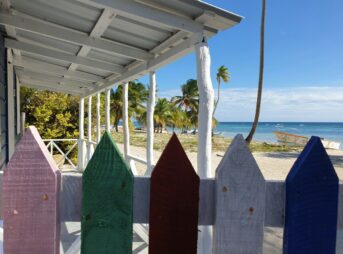 a row of colorful wooden boards sitting on top of a beach
